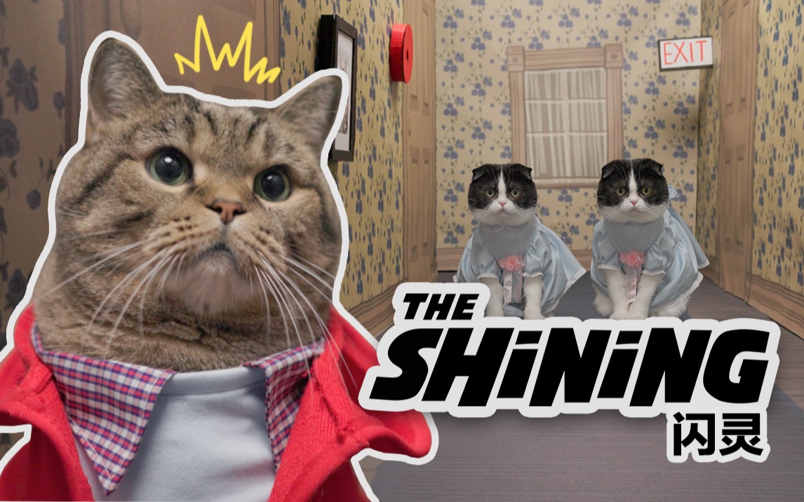 啊!|恐怖片《闪灵》猫咪版