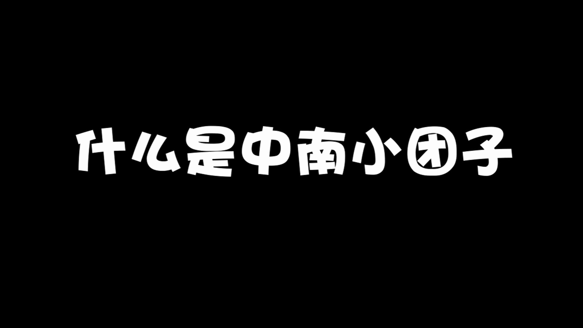 《什 么 是 中 南 小 团 子》哔哩哔哩bilibili