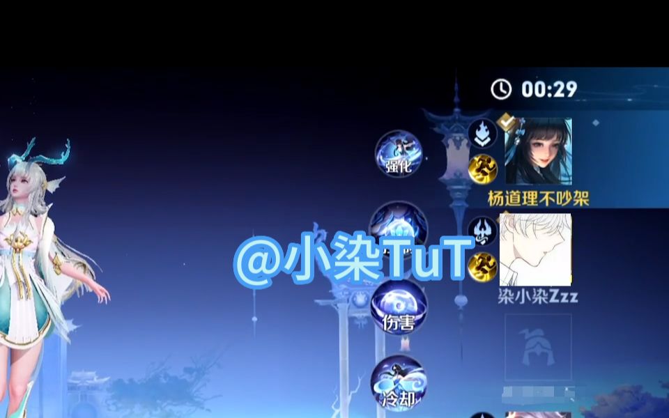 《染门弄施》-杨道理不吵架-杨道理不吵架-哔哩哔哩视频