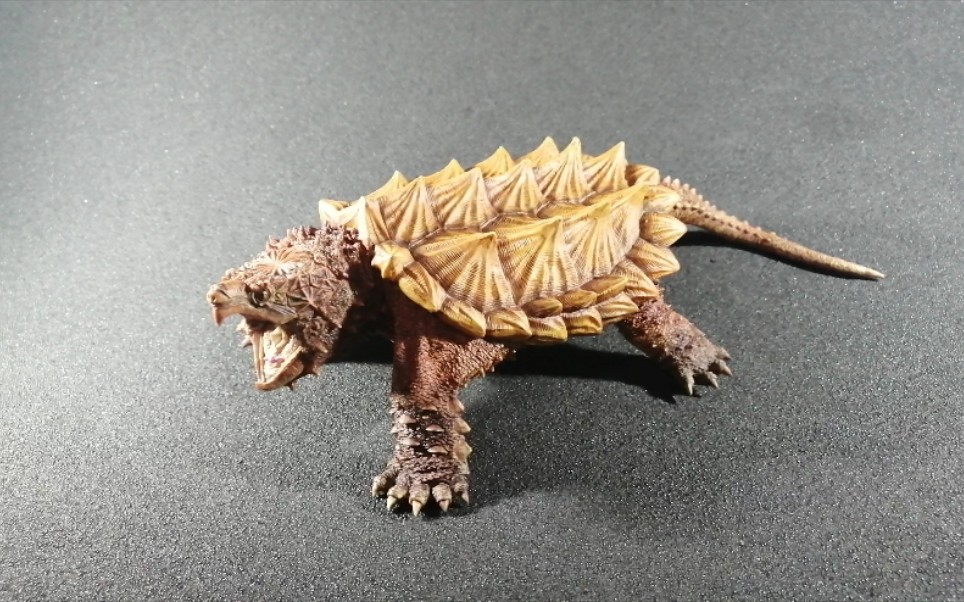 钟爱评测静态模型第544期锲之魂大鳄龟摆件wg变异白金大鳄龟