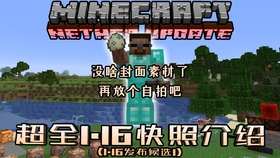 1 16更新 禁言系统完善 游戏崩溃bug修复 1 16 4发布候选1 1 16 4 哔哩哔哩 つロ干杯 Bilibili