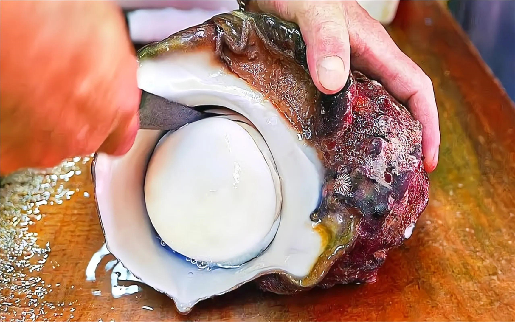 让人惊叹的海蜗牛,做法太过独特,味道一绝,老外都惊叹不已