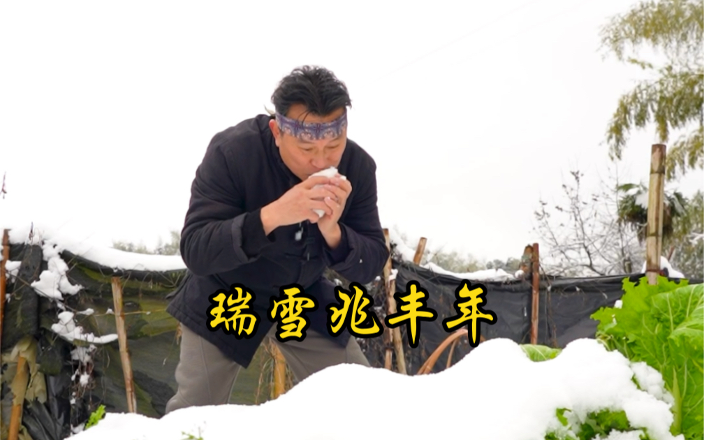 [图]雪后的青菜比较甜，瑞雪兆丰年。