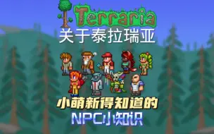 Download Video: 盘点关于“NPC”，住房要求和实用小知识