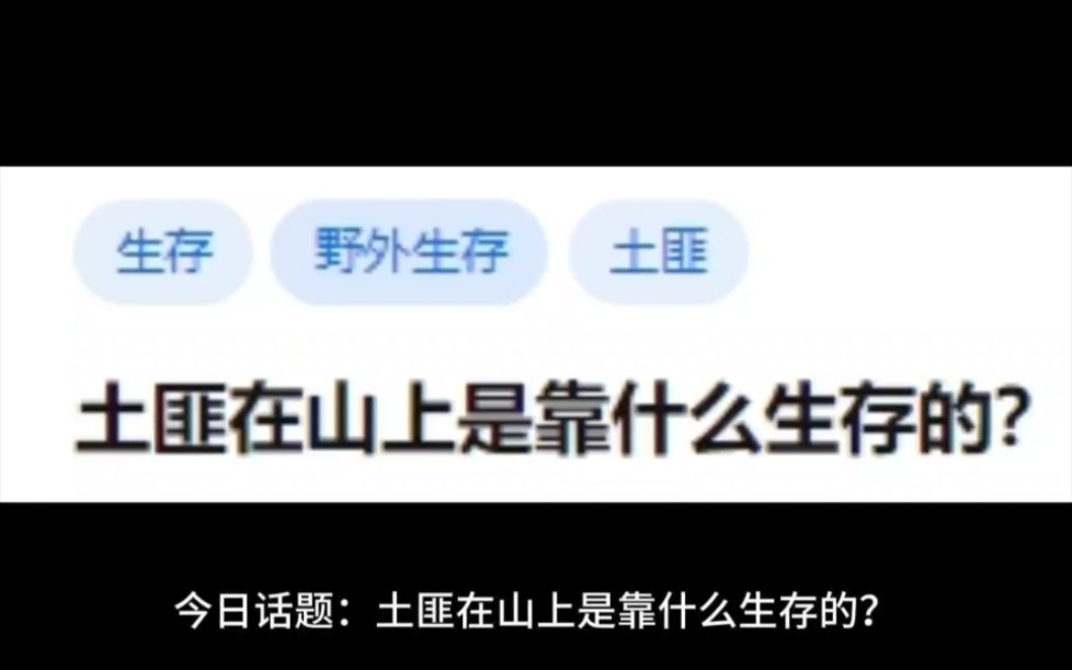 土匪在山上是靠什么生存的?哔哩哔哩bilibili