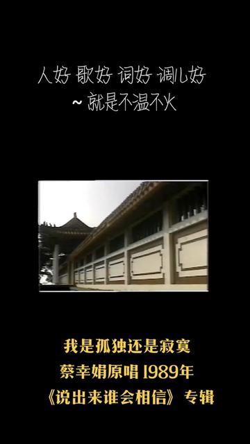 [图]蔡幸娟原唱 1989年 《说出来谁会相信》专辑