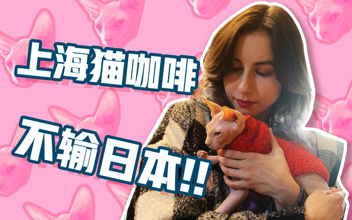 上海的猫咖啡不输日本哦!VLOG 032哔哩哔哩bilibili