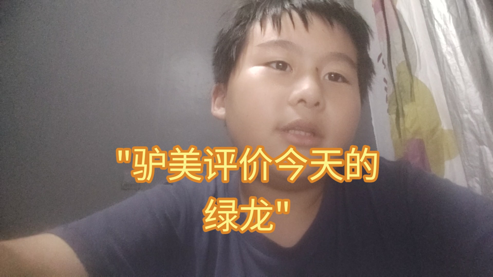 驴美评价今天的绿龙