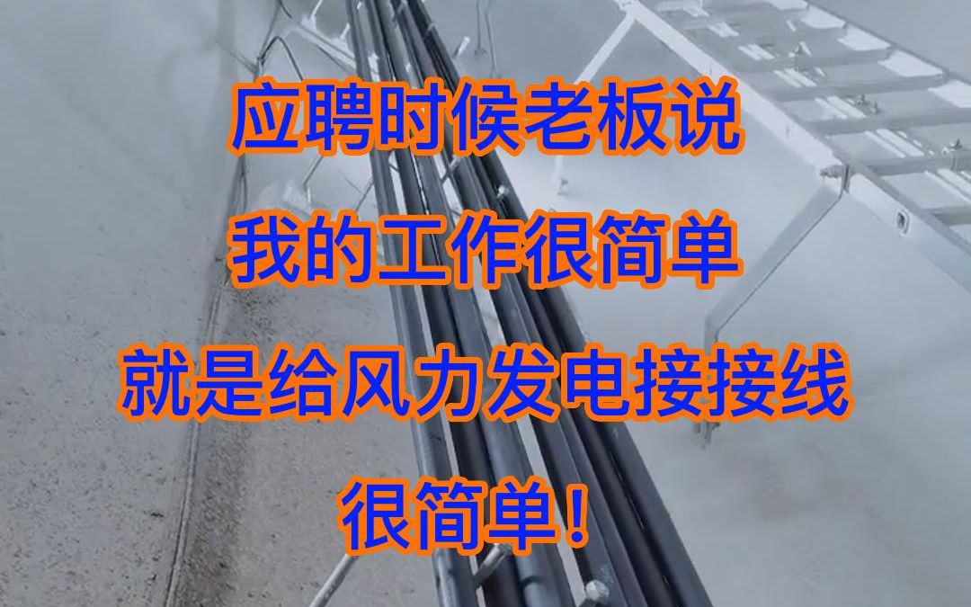 应聘的时候老板说,给风力发电机组接接线,能分清黑白、红绿等颜色就行,简单的很!#风电运维 #风电运维工程师 #风力发电哔哩哔哩bilibili