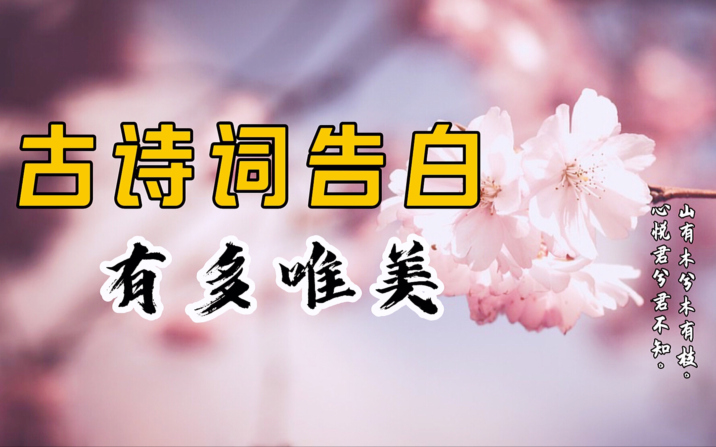 古诗词中表白有多浪漫:山有木兮木有枝,心悦君兮君不知哔哩哔哩bilibili