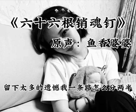 《六十六根销魂钉》