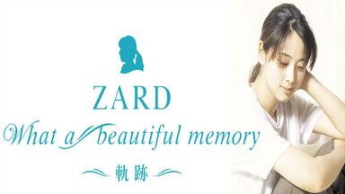 ZARD Official Website – WEZARD.net | ZARD”What a beautiful memory 2008″