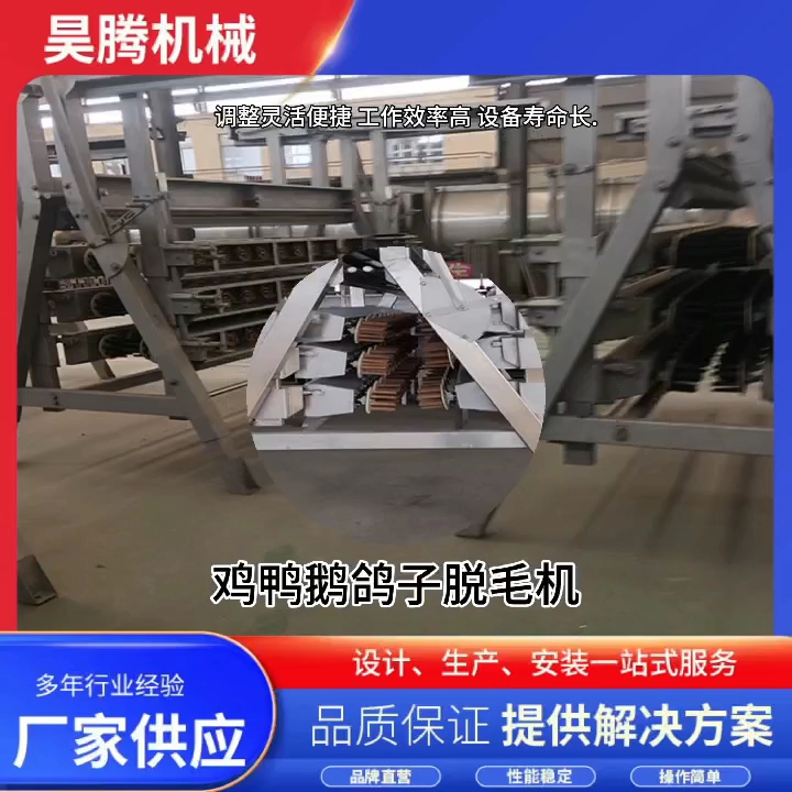 鸡鸭鹅鸽子脱毛机打毛机设备