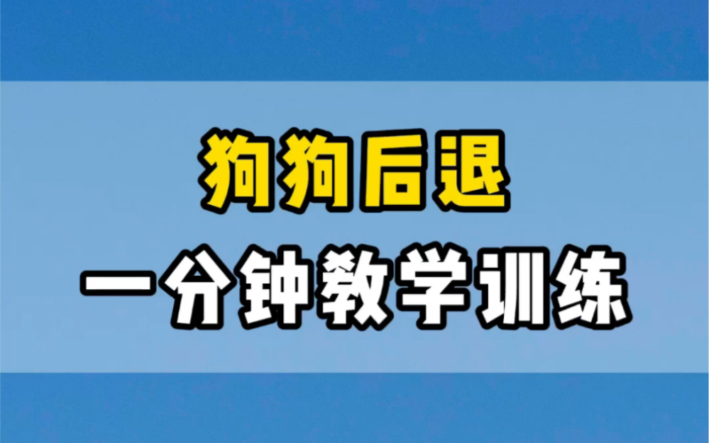 一分教会你家狗狗后退!哔哩哔哩bilibili