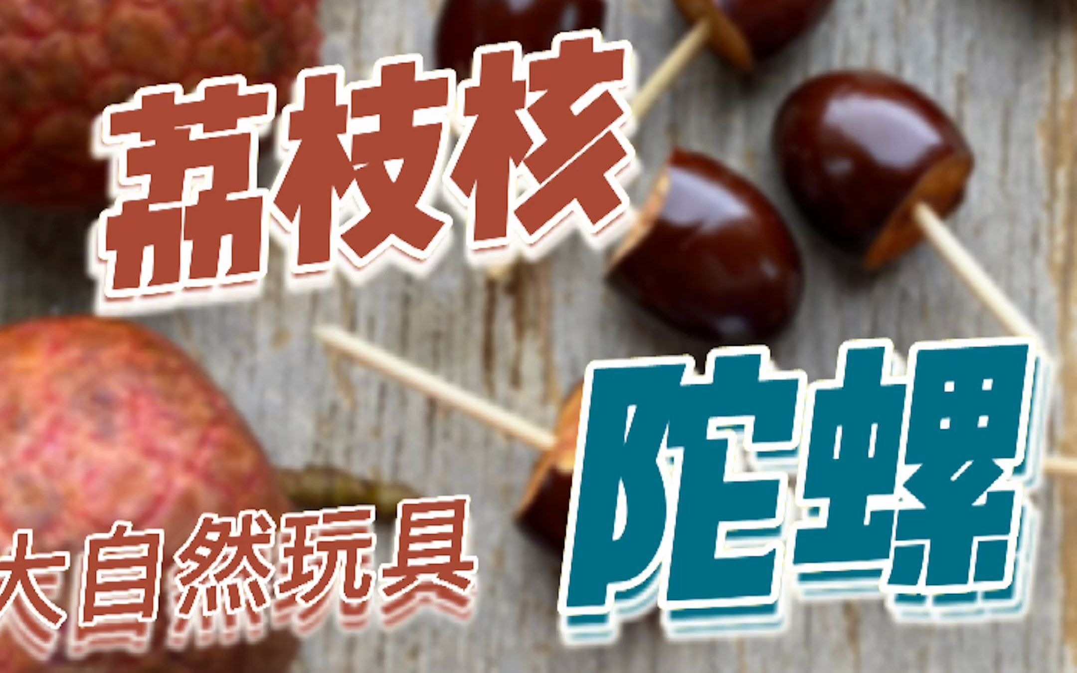 亲子日常:吃完的荔枝核不要扔,两步教你给孩子做玩具陀螺