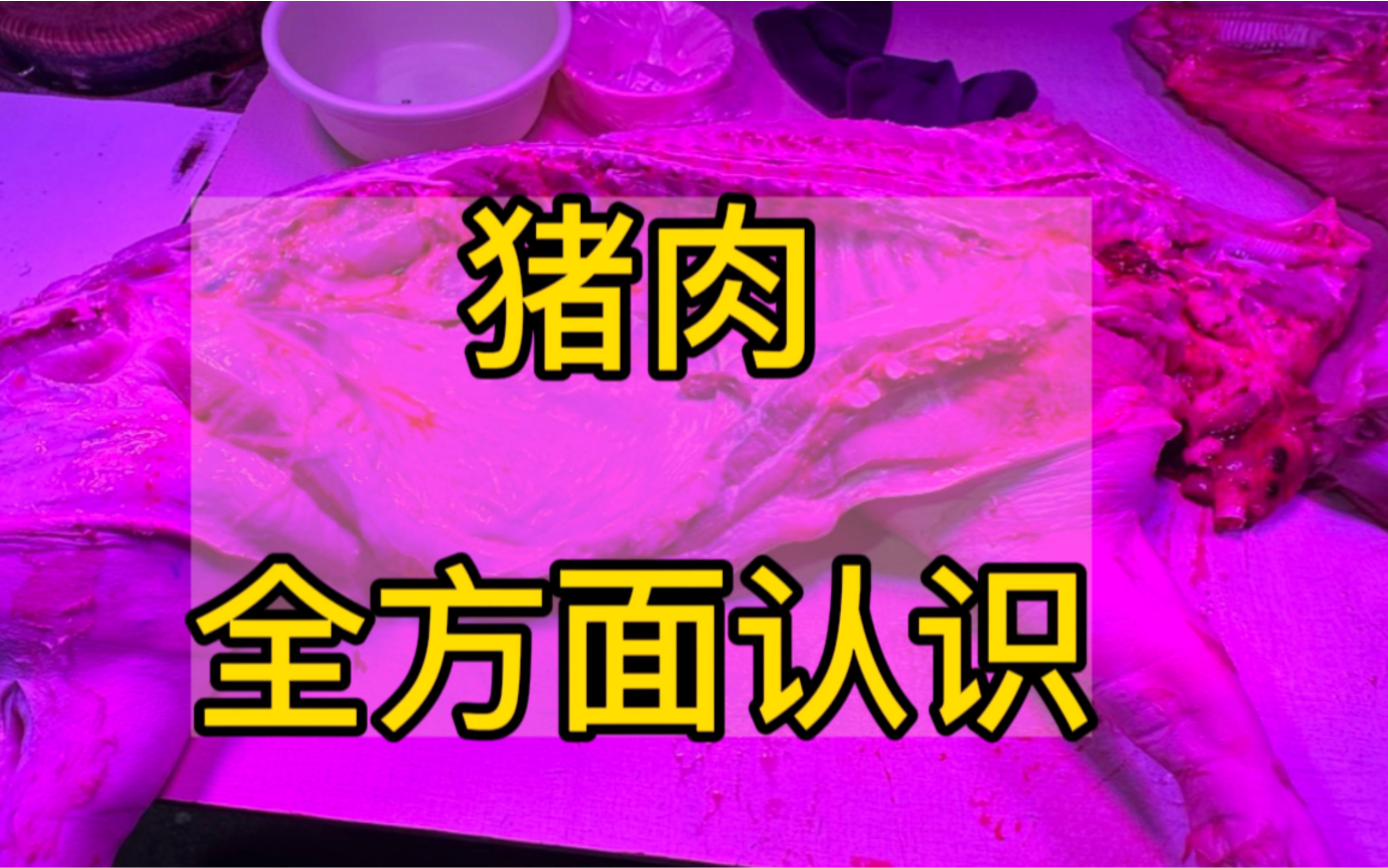 猪肉的全方面认识,如何选到心仪的猪肉,什么部位适合做什么菜!!全场高能干货!!!哔哩哔哩bilibili