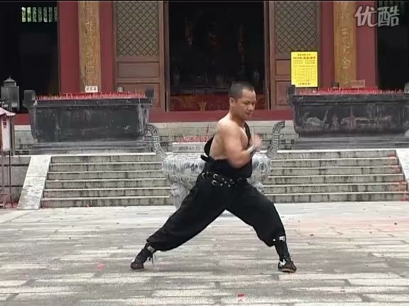 南拳王武术演练(南拳,虎鹤双形拳,工字伏虎拳)哔哩哔哩bilibili