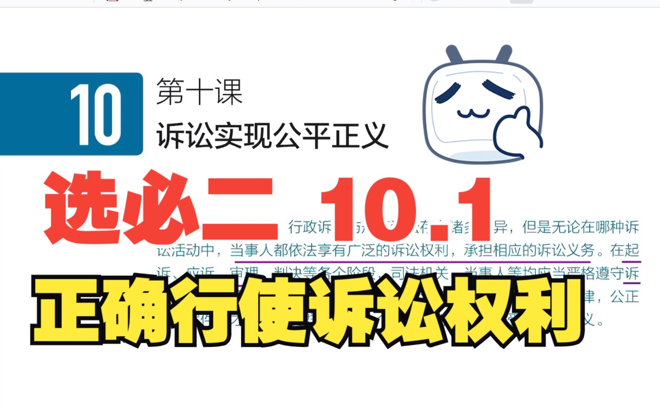 【教材详解】高中政治选必二 10.1正确行使诉讼权利哔哩哔哩bilibili