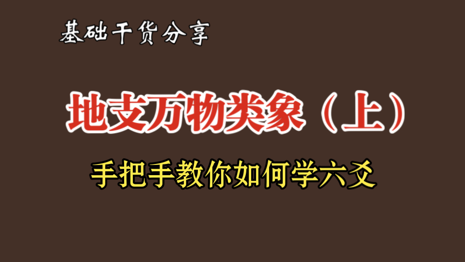 【易学基础】十二地支的万物类象详解(上)无需死记硬背哔哩哔哩bilibili