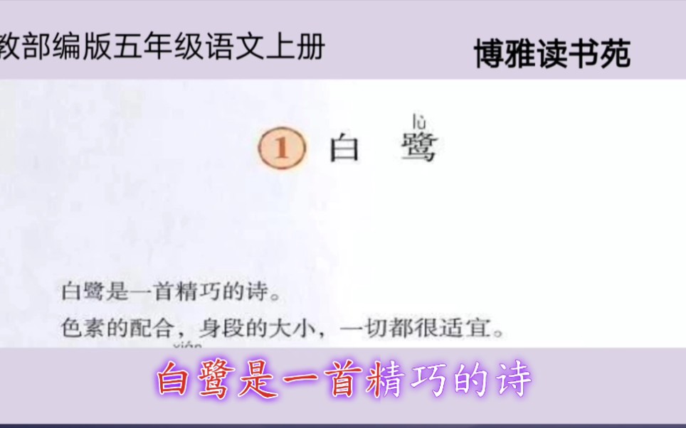 人教部编版小学五年级语文上册1《白鹭》课文朗读领读学生跟读哔哩哔哩bilibili