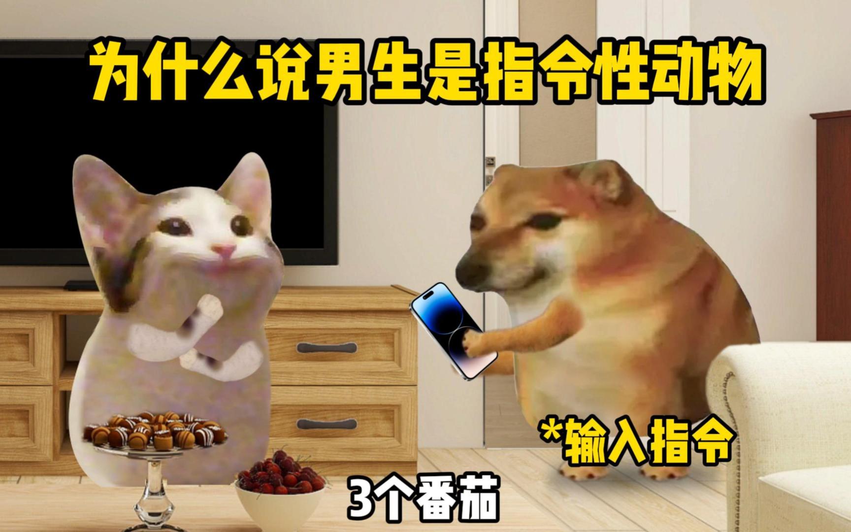 男生的使用说明书