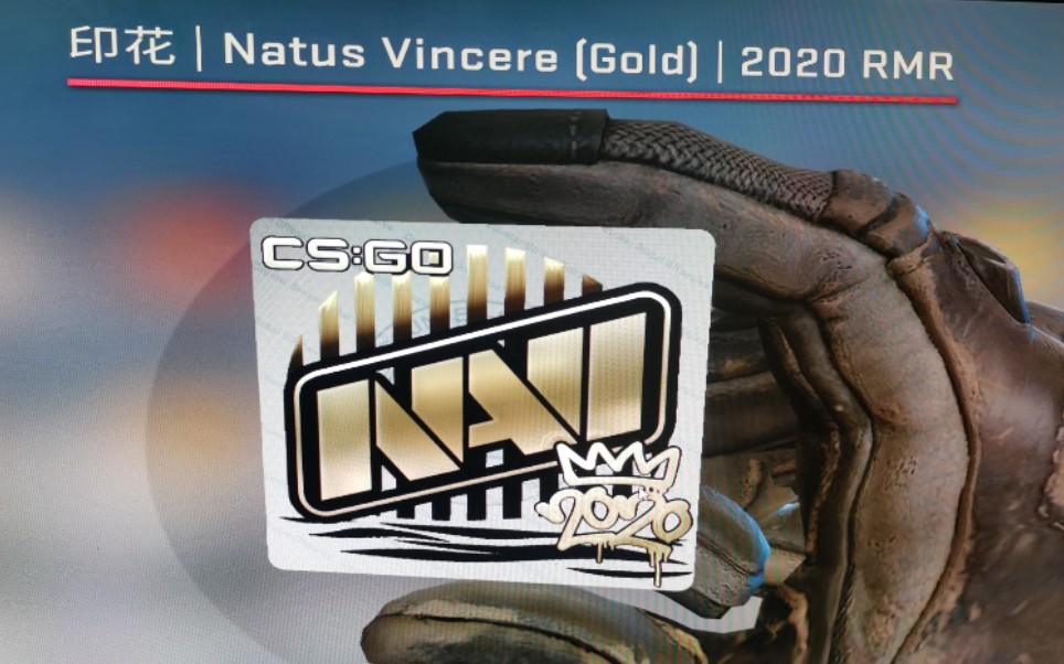 csgo2020rmr胶囊最新血亏【csgo】【开箱】【印花胶囊】