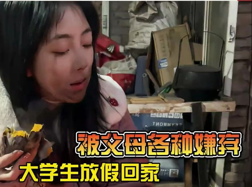 大学生放假回家,被父母各种嫌弃,天天挨骂