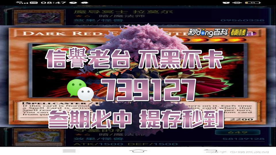 3分钟了解2023年买马最准网站