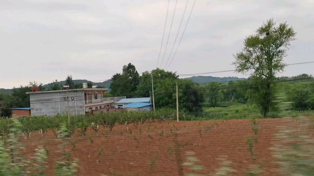 [图]远山近野，悠闲自在