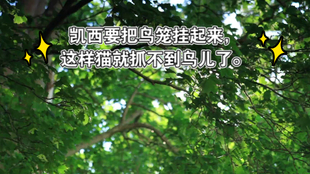 日常英语 你去过海边吗 哔哩哔哩 つロ干杯 Bilibili