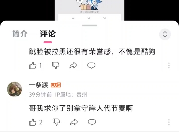 让我们恭迎丽芙不想睡大街的新任继承者“守岸人不想睡大街”战双帕弥什