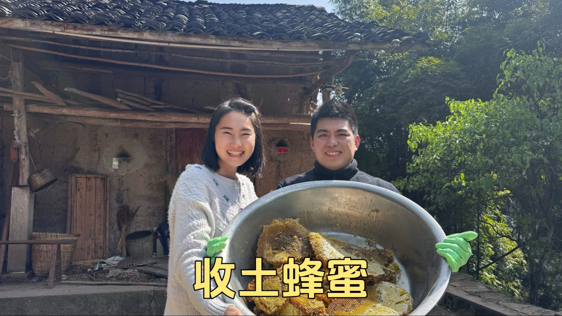 梦蜂蜜被别人收走了好吗(梦见好多蜂蜜,最后被别人吃光了)