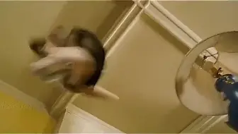 你没见过猫狗大战名场面