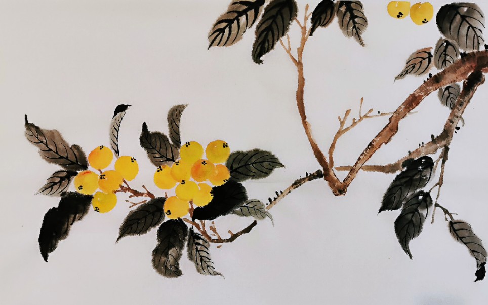 【国画教程】写意枇杷的画法