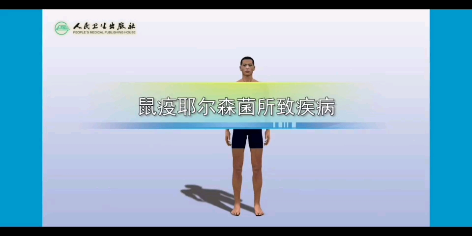 【医学微生物学】鼠疫耶尔森菌所致疾病哔哩哔哩bilibili