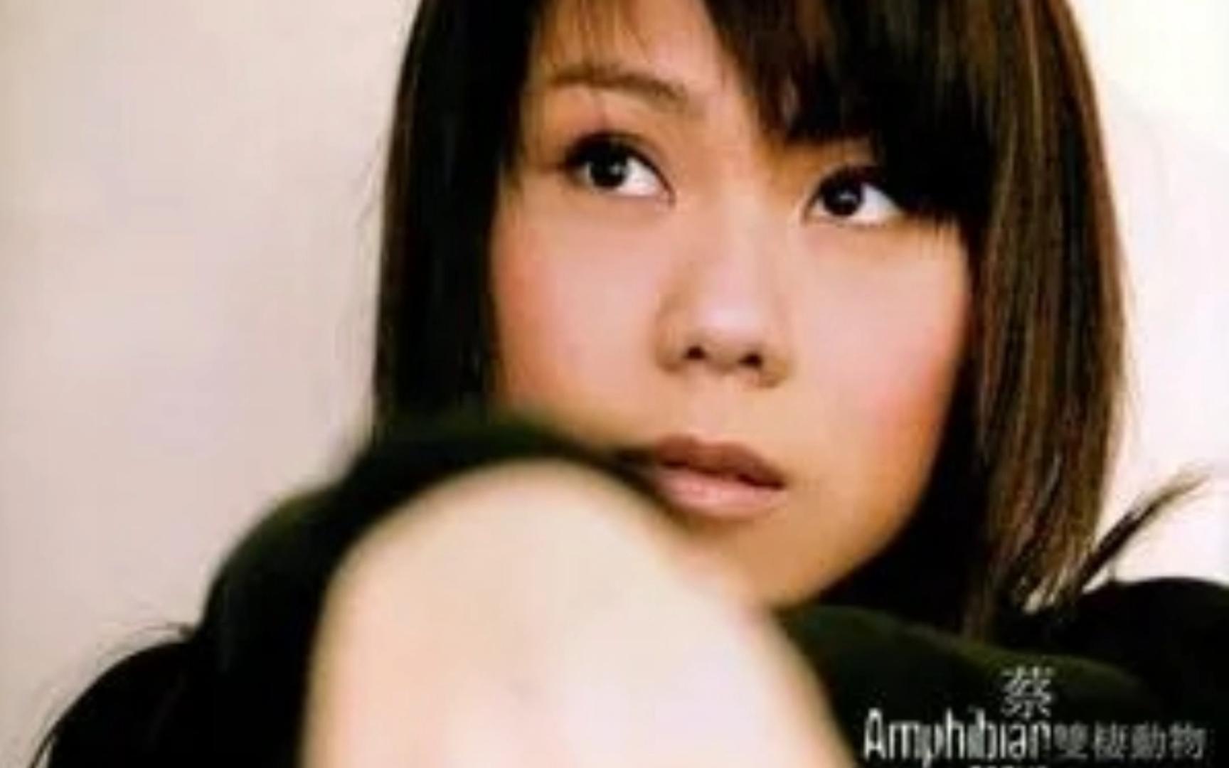 下一次爱情来的时候----蔡健雅 纯伴奏