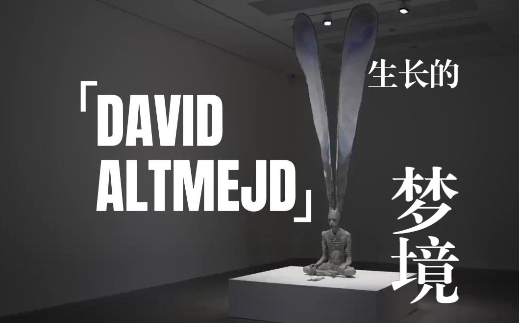 当代雕塑艺术家 David Altmejd  In the Gallery哔哩哔哩bilibili