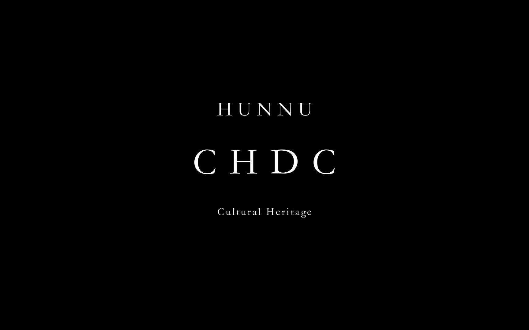 CHDC湖南师大文化遗产数字化中心 网页设计效果哔哩哔哩bilibili