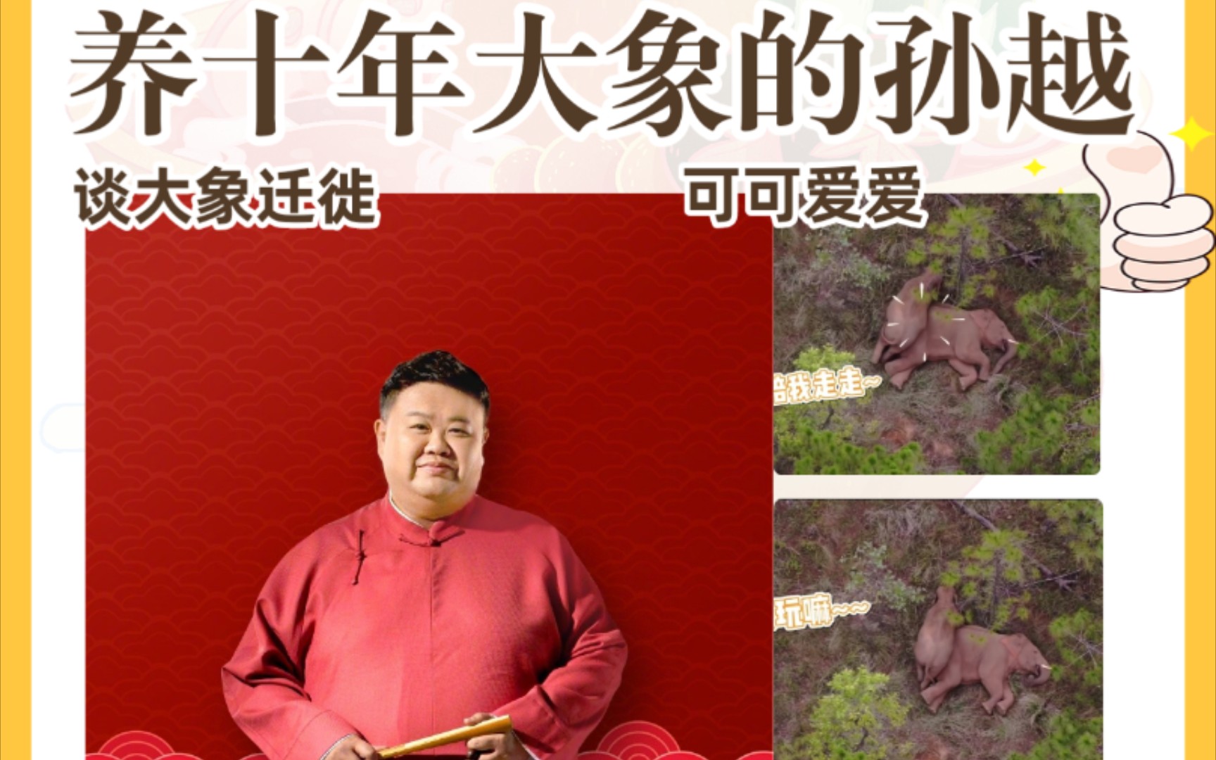 孙越 装病的大象也太可可爱了!