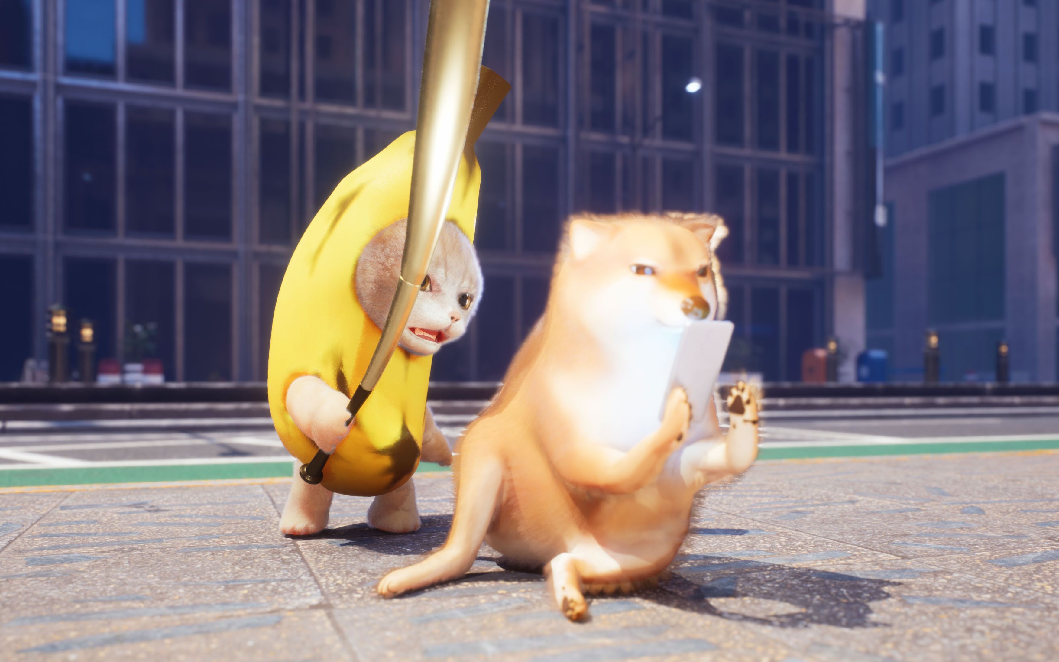 乐子是吧,准备挨香蕉猫揍吧!-屑德小号-默认收藏夹-哔哩哔哩视频