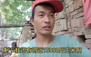 Tải video: 玉米价格涨的真快，一天一个价的往上涨，看看现在多少钱一斤