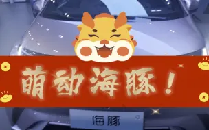 Download Video: 比亚迪海豚