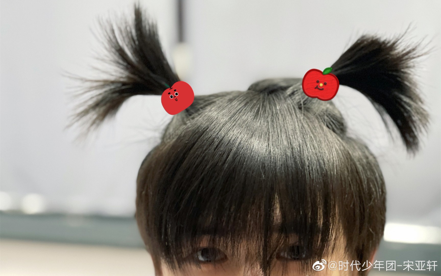 宋芽芽和他的小揪揪