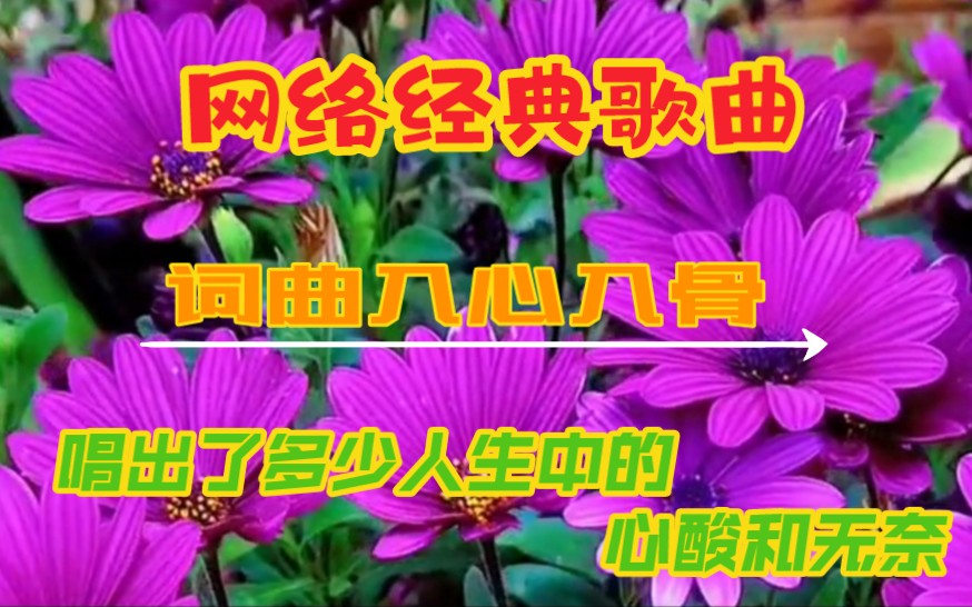 [图]月下思故人•红蔷薇原唱伤感歌曲《谁的心在漂泊》，听醉了听哭了