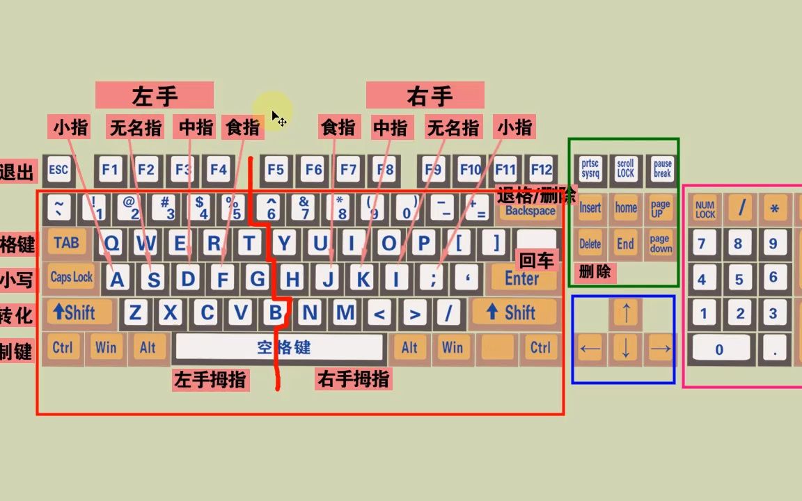 零基础电脑知识,掌握键盘标准指法,打字速度和准确率都可以提高