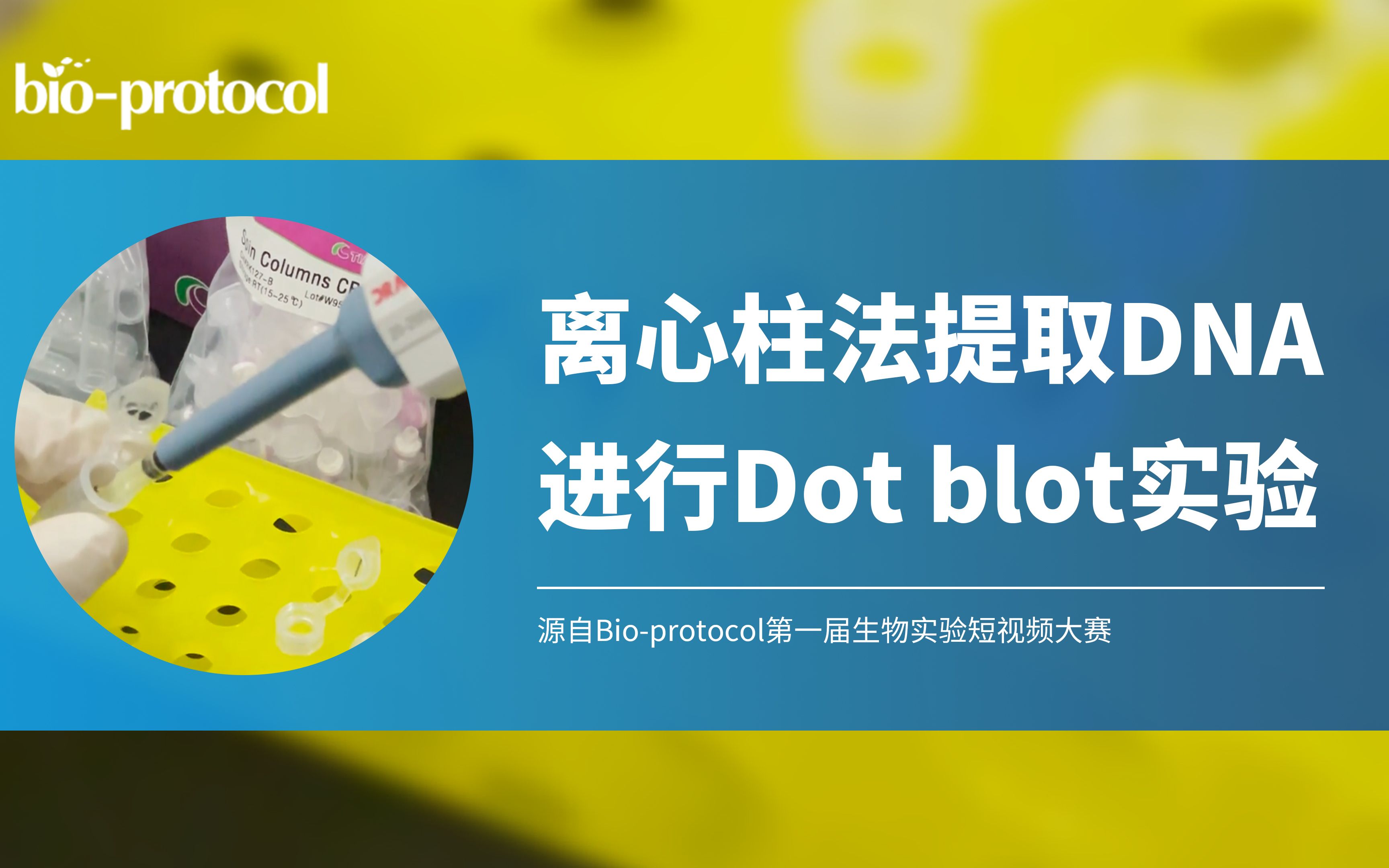 【短视频大赛】离心柱法提取DNA进行Dot blot实验哔哩哔哩bilibili