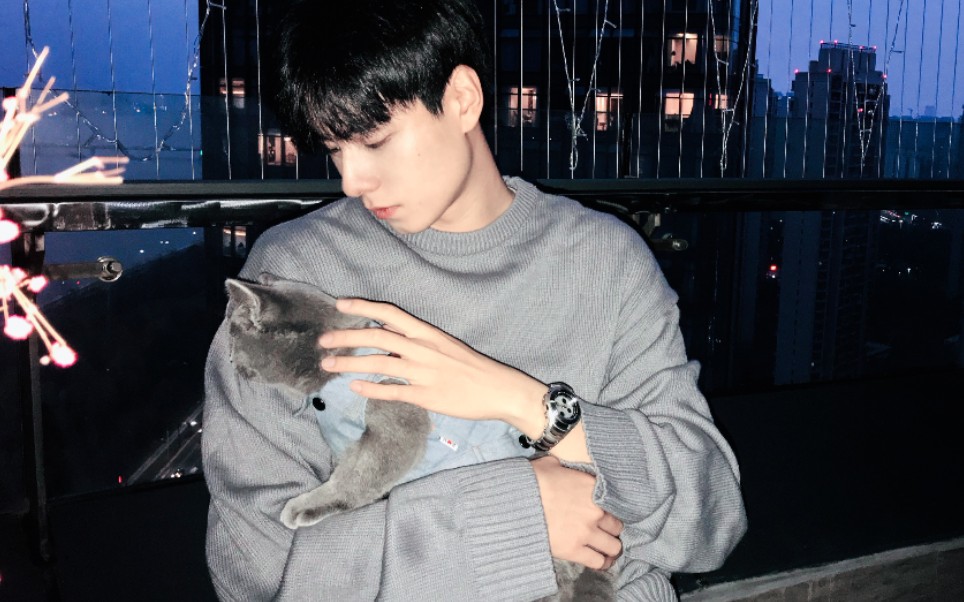 胡一天撸猫真的好心动胡一天暖男风毛衣大集合你喜欢哪款