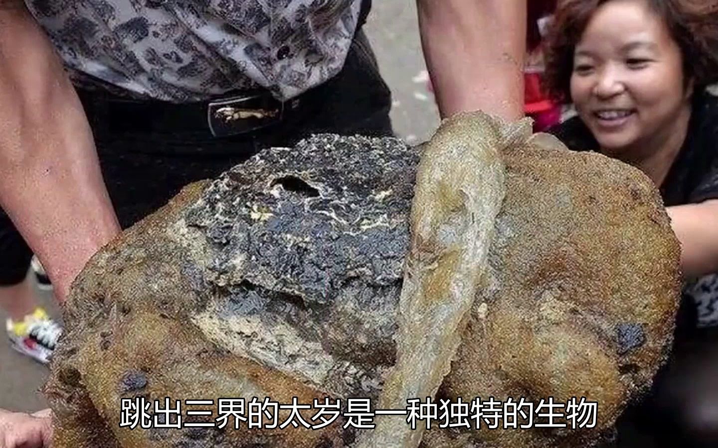 [图]盘点几个违背生命规律的生物：你听说过，跳出三界的“太岁”吗？