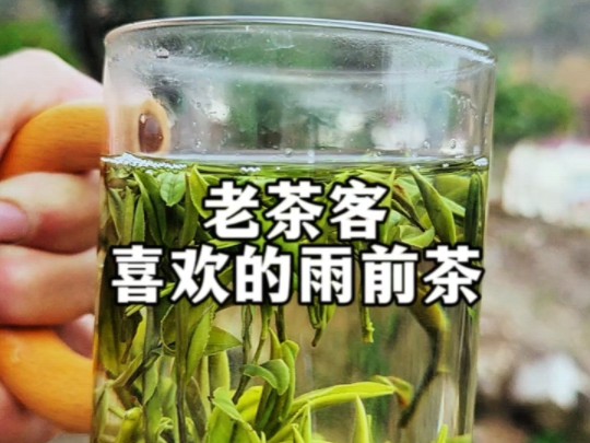 老茶客都喜欢的一款安徽高山绿茶——桐城小花雨前茶.哔哩哔哩bilibili