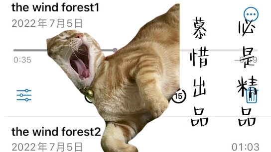 [图]The Wind Forest 久石让 在家瞎弹非完整版